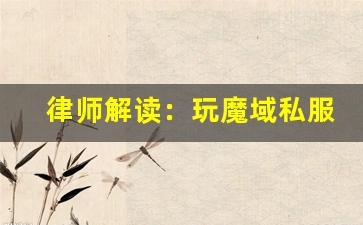 律师解读：玩魔域私服是否违法？这 3 点风险你必须知道